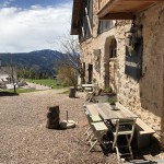 mansuet Hof